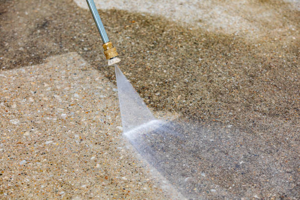 Animal Enclosure Cleaning in New York, NY